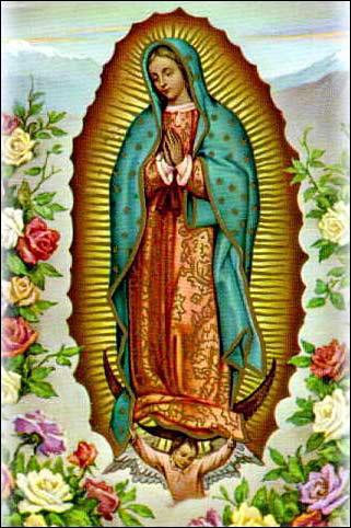 Armando Lopez You are invited to celebrate the Feast Day of Our Lady of Guadalupe (Patroness of the Americas) on Sunday, December 12, 2010 5PM Mass here at St. Veronica Church.