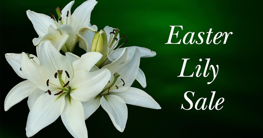 Please help us beautify the Lord s House for our Wonderful Easter worship service! Our lilies are being purchased from Bedford Nursery and will be beautiful!