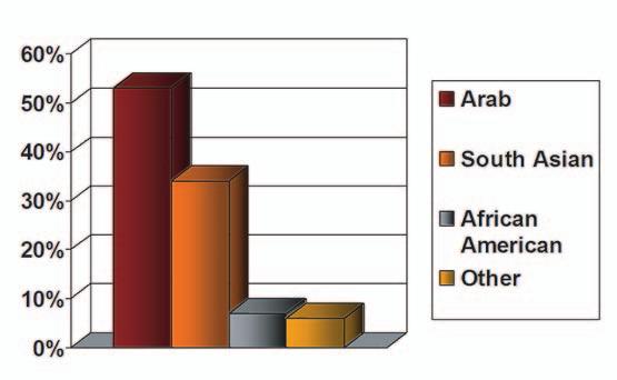I DETROIT MOSQUES: SUNNI AND SHI ITE MOSQUES Detroit has an almost equal number of mosques whose attendees are predominantly South Asian and Arab 11 mosques (33% of the total) are South Asian and 10