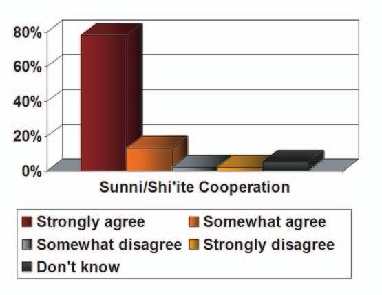 IV ATTITUDES TOWARDS ISLAM: SUNNI/SHI ITE COOPERATION 6. Those who immigrated more recently to America are only slightly more likely to respond, strongly agree.