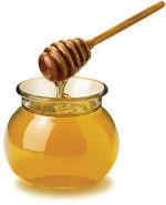 create honey dishes Speaker, honeys for tasting (try to get them donated) Refer to The Women s League Hiddur Mitzvah Project section on apple and