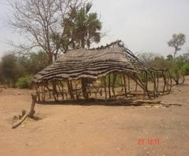 in Southern Kordofan