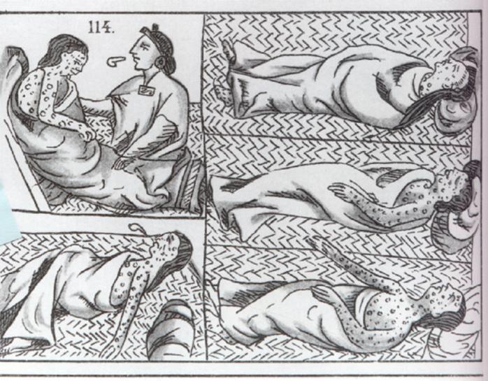 DOCUMENT 2: Excerpt from Aztec Diary There came among us a great sickness, a general plague. It raged among us, killing vast numbers of people. Many died merely of hunger.