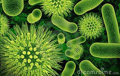 C. 4 B yrs ago First simple bacteria cells formed in the ancient sea GIFT EARTH AWAKENS TO