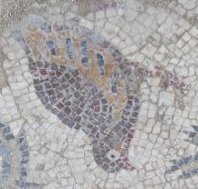 sites contained mosaics