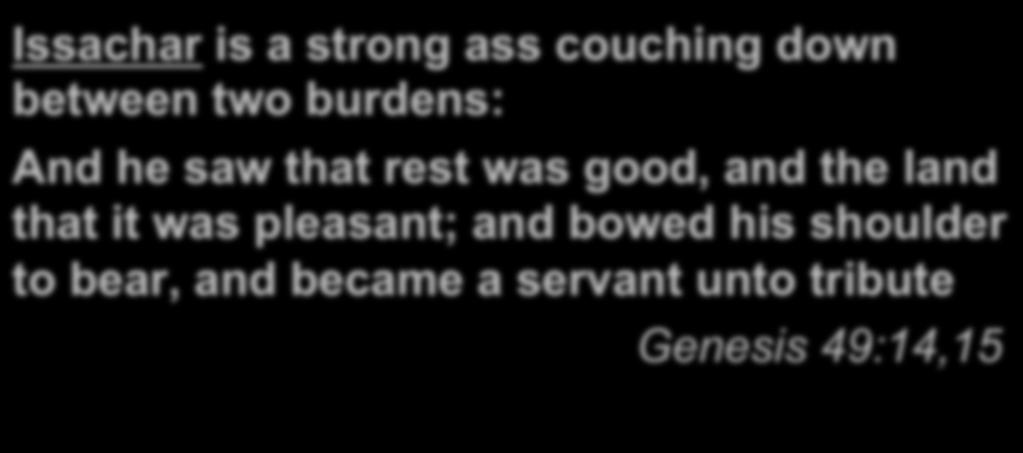 Issachar is a strong ass couching down between two burdens: And he saw that rest was good, and the land