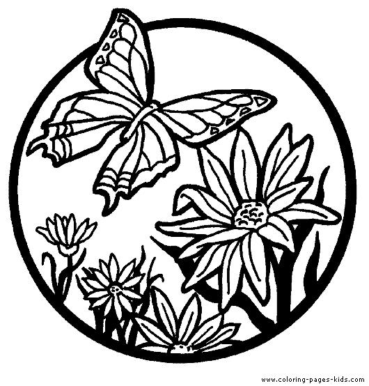 Coloring Challenge! Let s color these beautiful creatures that God created. Beautiful butterflies live in many countries. Can you think of a country that might have beautiful butterflies?