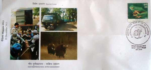 Special Cover on Gaur reintroduction in Bandhavgarh
