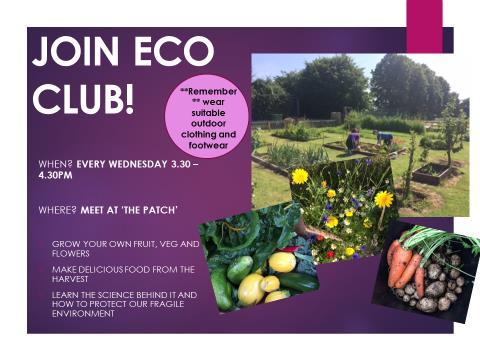 harvest next year. All are welcome to the Eco Club, come and join us every Wednesday, from 3.30-4.30pm.