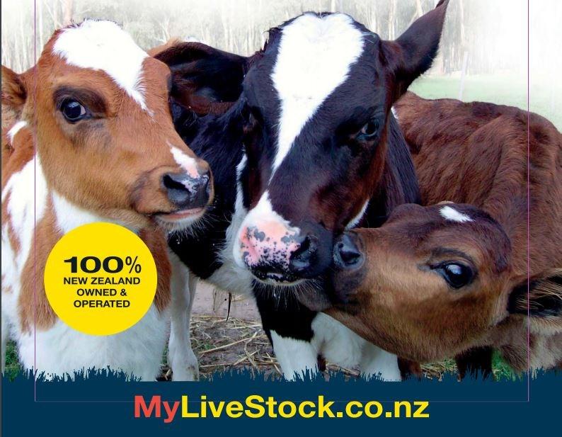 FROM THE GATE TO THE SCHOOL Farmers Meat Export Ltd is a subsidiary of NZ Farmers Livestock Ltd and has been procuring bobby calves for over 10 years, and processing these calves through Te Kuiti