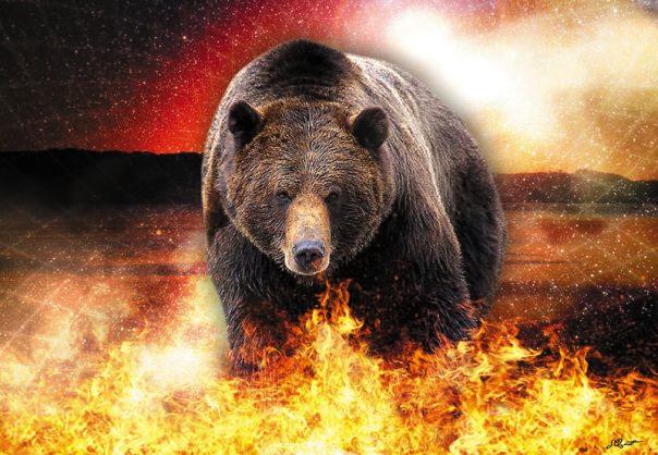The 1st Fire - Evolution 1 (Bear - Makwa) In The 1st Fire, we begin by building a solid foundation for personal healing and learn the foundational aspects and ceremonies of personal healing to begin