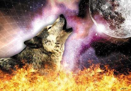 The 2nd Fire - Evolution 2 (Wolf - Mahingan) In the 2nd Fire, we begin to look at energetic anatomy, the Chakras, raising the energy of life, Time Travel, healing misplaced energies and energy that