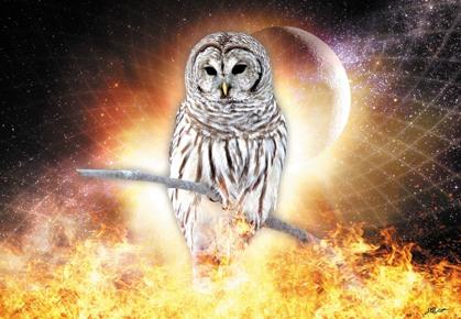 The 3rd Fire - Evolution 3 (Owl - Kòkòkòhò) In the 3rd Fire, we return to the Lower World, the Womb of the Mother to work with our subconscious to begin working with the powerful aspects of ourselves