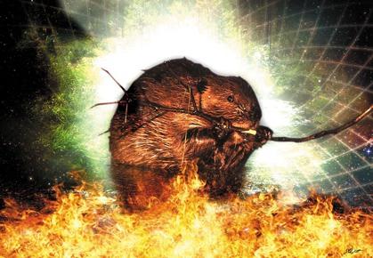 The 4th Fire - Evolution 4 (Beaver - Amik) In the 4th Fire, we return to the Middle World and begin to see it through new eyes.