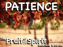 FIFTH SUNDAY AFTER PENTECOST Fruit of the Spirit-Patience July 13, 2014 11:00 AS WE GATHER God s Word is like the rain, watering the soil, and allowing it to produce plants from the hidden seeds.