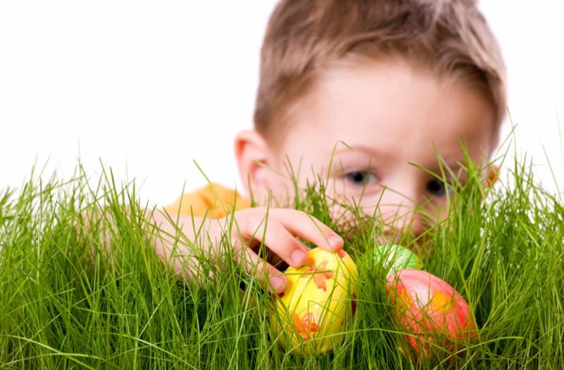 OPPORTUNITIES AROUND THE PARISH DONATE PLASTIC EGGS FOR THE EASTER EGG HUNT Make this event special donate plastic eggs filled with stickers, trinkets, or individually wrapped