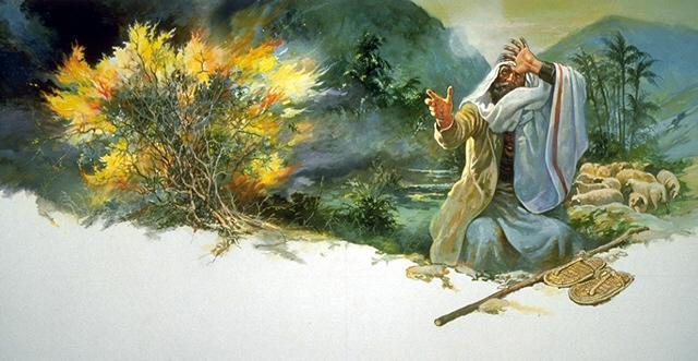 Moses met God in the burning bush.