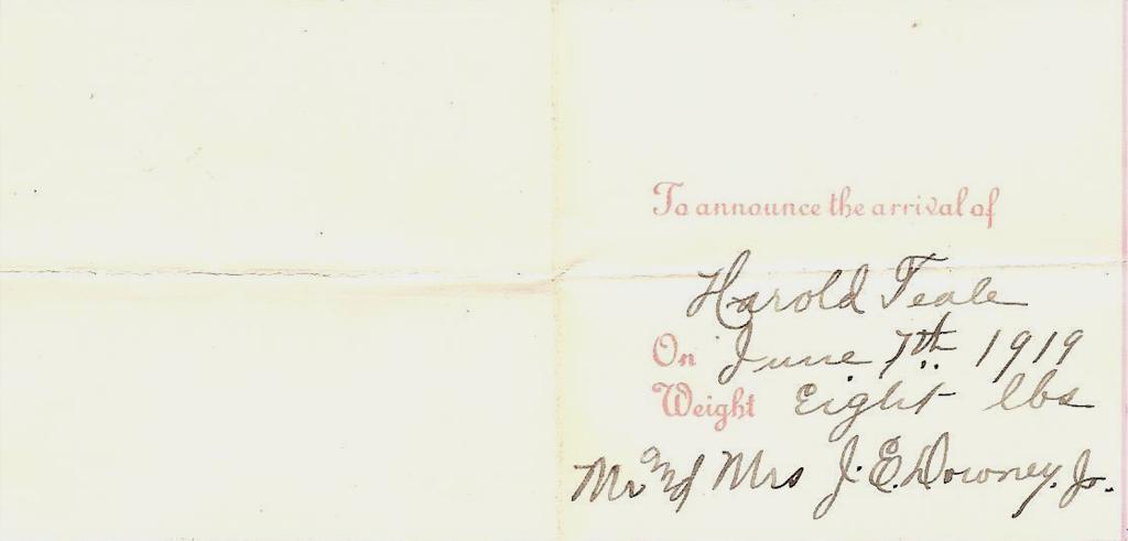 The stamp is tied to the cover on the reverse with a circular-date-stamp from Lamoni, Iowa on Jun 10 1919.