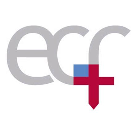 The Episcopal Church Foundation (ECF) Independent, lay led organization, founded in 1949 Empowers congregations through visioning and planning,