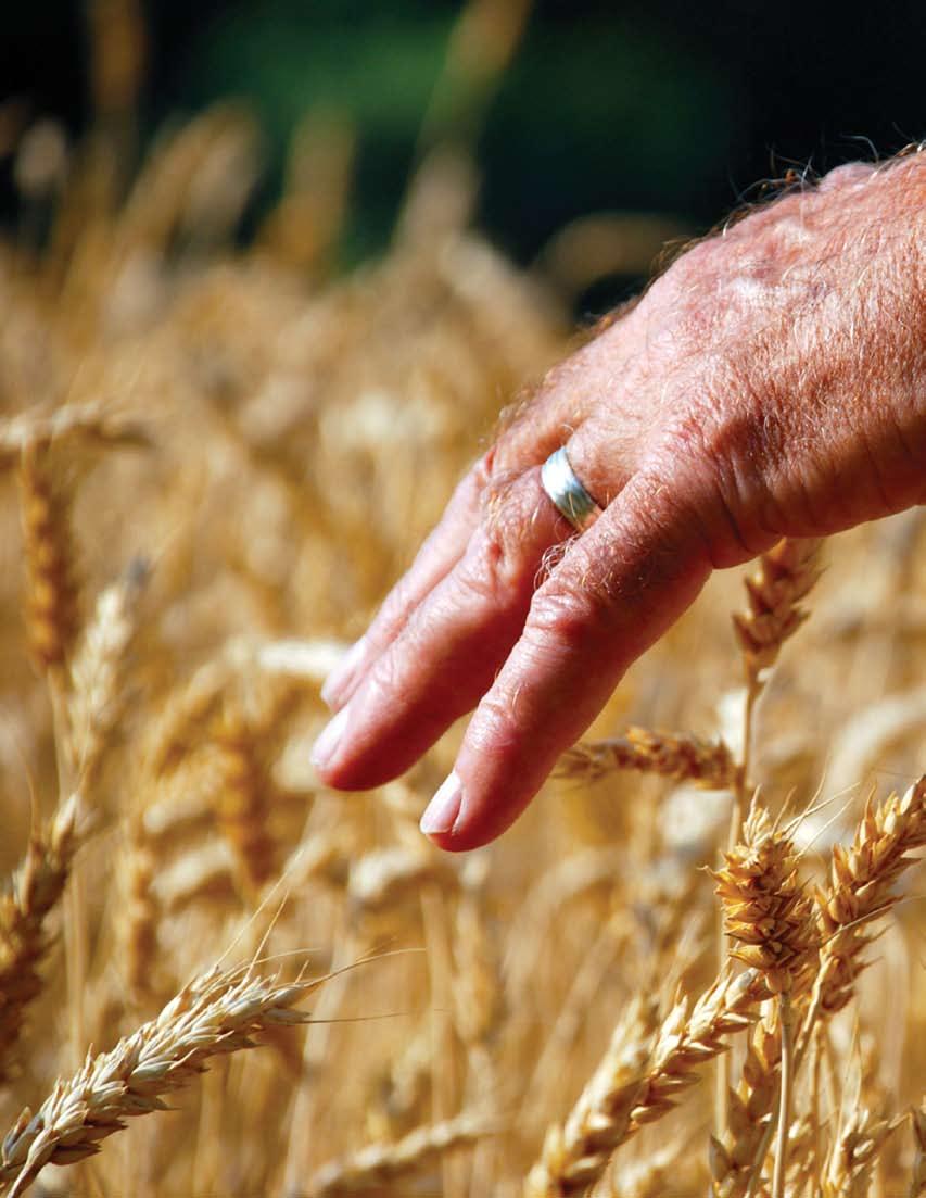 hands for the harvest Our Mission To serve Free Methodists as together we make disciples of Jesus Christ among the
