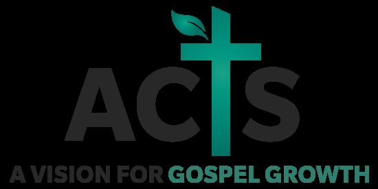 Overview: Peter s Sermon on Pentecost, Part 1 (Acts 2:14-21) The story in Acts begins just after Jesus was raised from the dead.