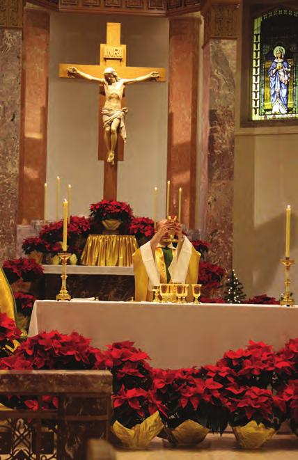 SOURCE AND SUMMIT Our Christmas: Becoming Tabernacles Like Our Lady. The connection between Christmas and the Eucharist is deep for Francis and Clare.