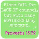 the people fall; But in the multitude of counsellors there is safety.