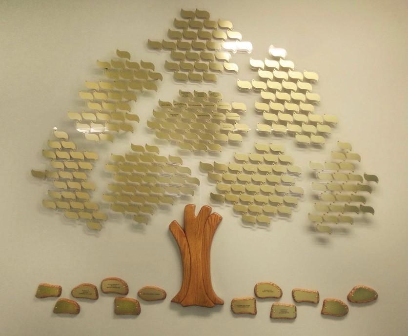 Stop In and See Our Beautiful Tree for Education We welcome you to help Catholic Education. A leaf makes a wonderful remembrance for a graduate or present and past members of your family.