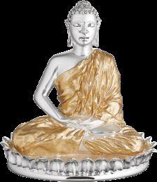 HOME BY THIS GRACEFUL BUDDHA