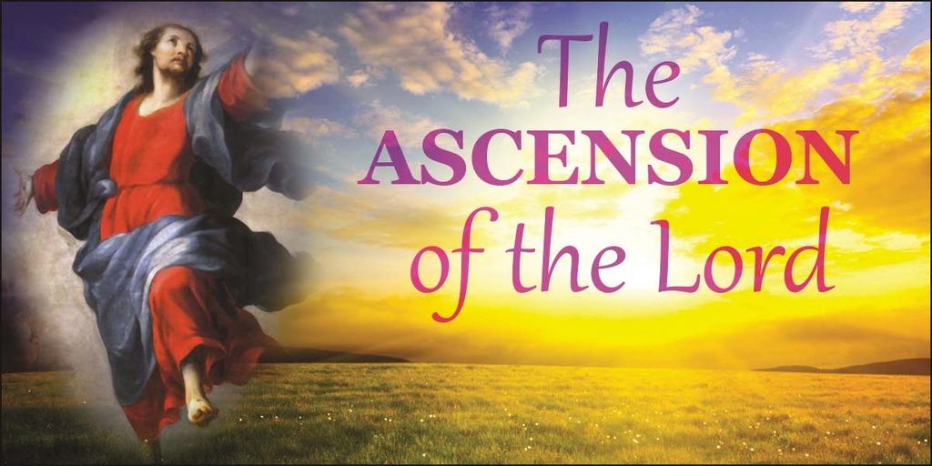 Yet it can be so easy for us to see the Ascension, and God s apparent absence from our lives, as something to despair about. What do these words say to us about Christ s Ascension?