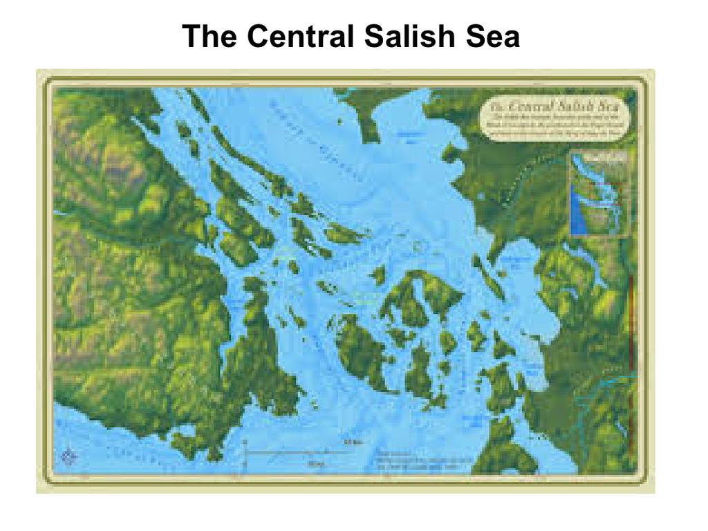 A close-up of the central Salish Sea extending our gaze,