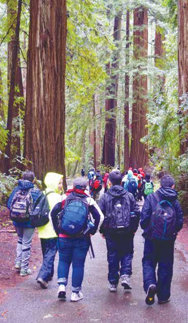 Holy Name of Jesus Parish Successful School Year Draws to Seventh-grade students spent time strolling among the redwoods with a trip to Caritas Creek this past school year.