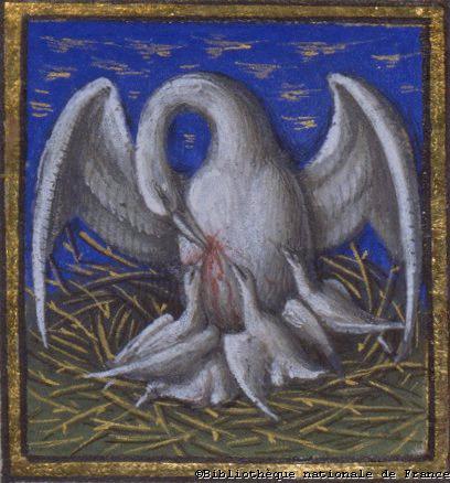 Therefore, the image of the pelican is a strong reminder of our Lord, who suffered and died for us to give us eternal life and who