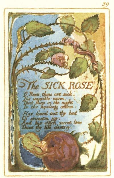 46 THE SICK ROSE O Rose thou art sick.