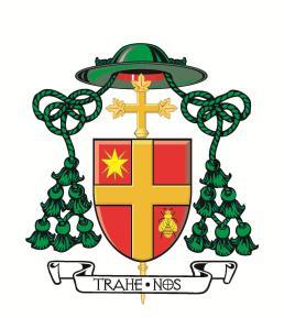 B I S H O P O F H A M I L T O N The Sacramental Guidelines for the Initiation of Children in the Diocese of Hamilton are the result of months of wide consultation with all priests of the diocese,