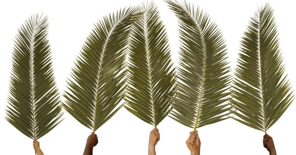 A PRAYER FOR PALM SUNDAY Eternal Giver of light, your steadfast love endures forever. Show us how to live.