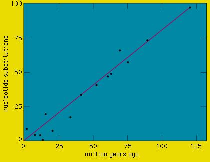 Evolution Figure 2: Rate of nucleotide substitution over paleontological time.