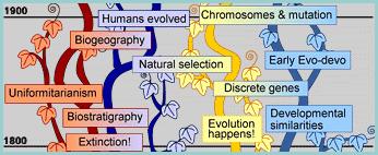 Non-Darwinian Evolution (1859-1930 s)