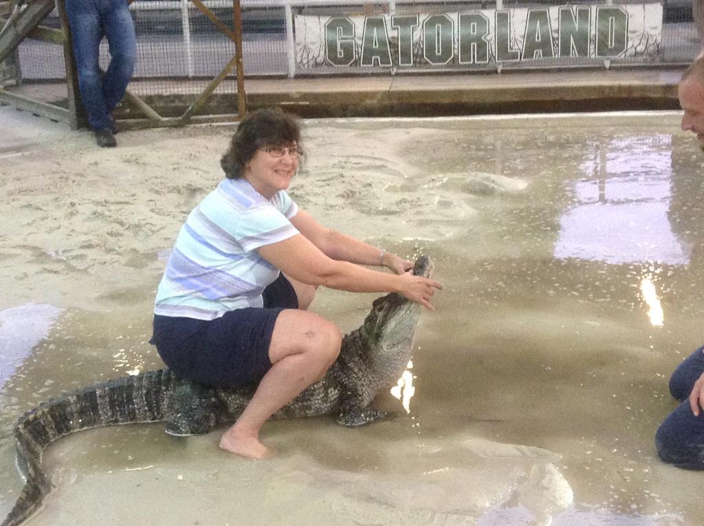 VOLUME 5, ISSUE 2 Page 3 Orlando 2014 Wow did you miss it! Here it is, Mary Ann on the back of an alligator!