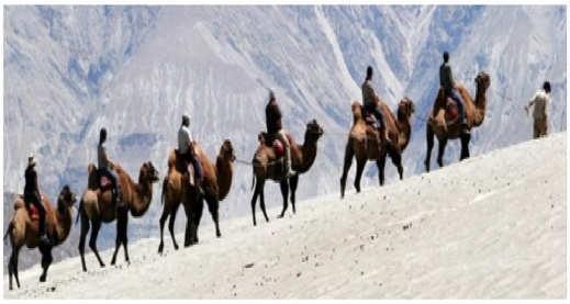 Evening free time for leisure and shipping in Leh Market. Dinner and Overnight stay at Leh.