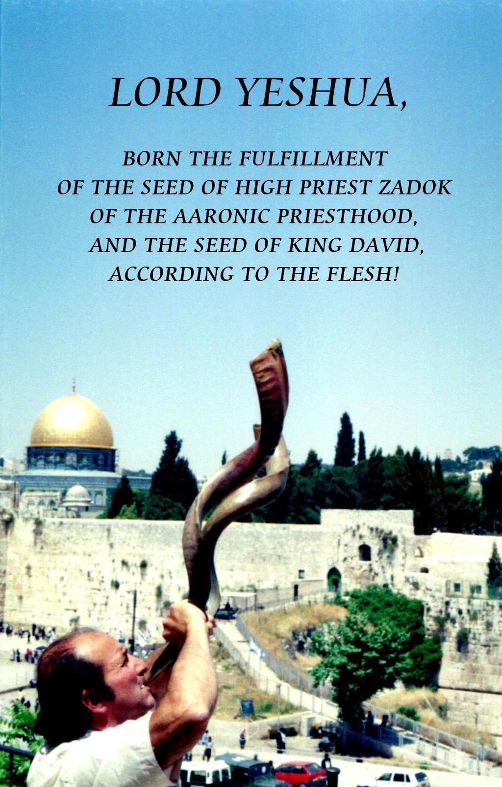This book on LORD Yeshua is now available to download free from my website. It is 28 pages long, but only in English.