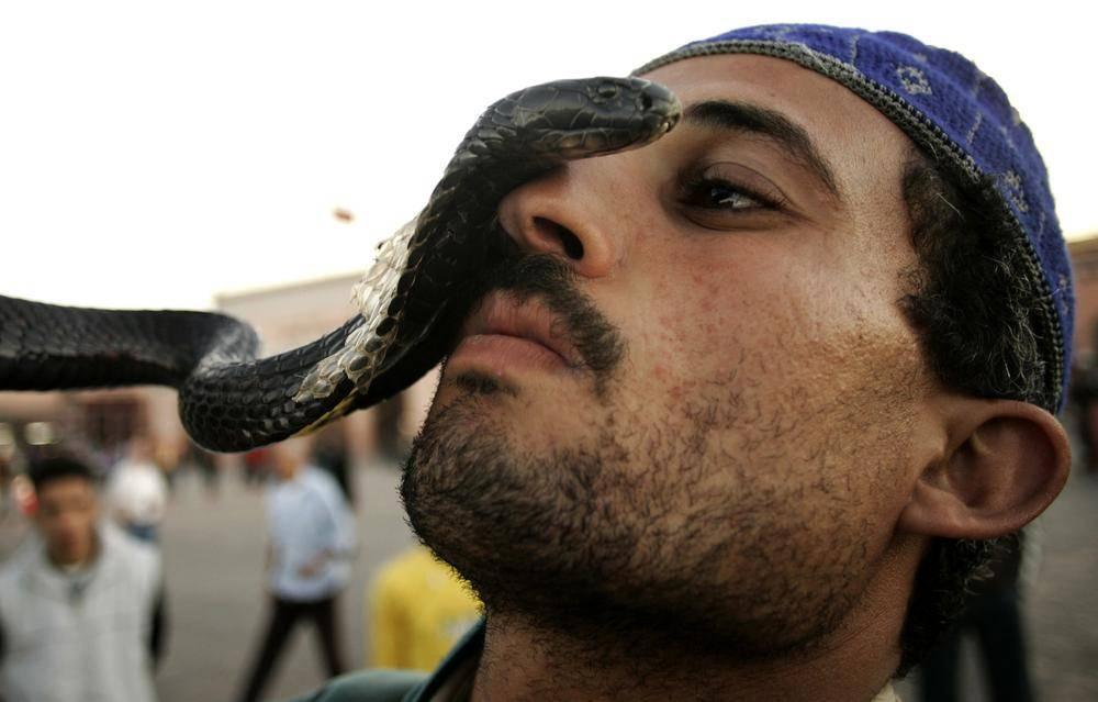 A snake charmer performs in Marrakesh s Djamaa El Fna square. (RAFAEL MARCHANTE/REUTERS) I scrambled to find the French vocabulary to properly excoriate my host, but to no avail.