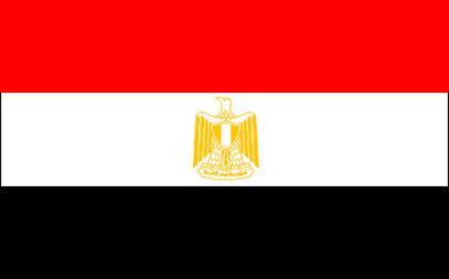 Public Opinion in Egypt