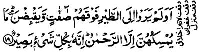 Surah-67 671 10. And they will further say: Had we only listened or used our sense, we would not have been among the inmates of the flames. 11. Thus shall they confess their sins.