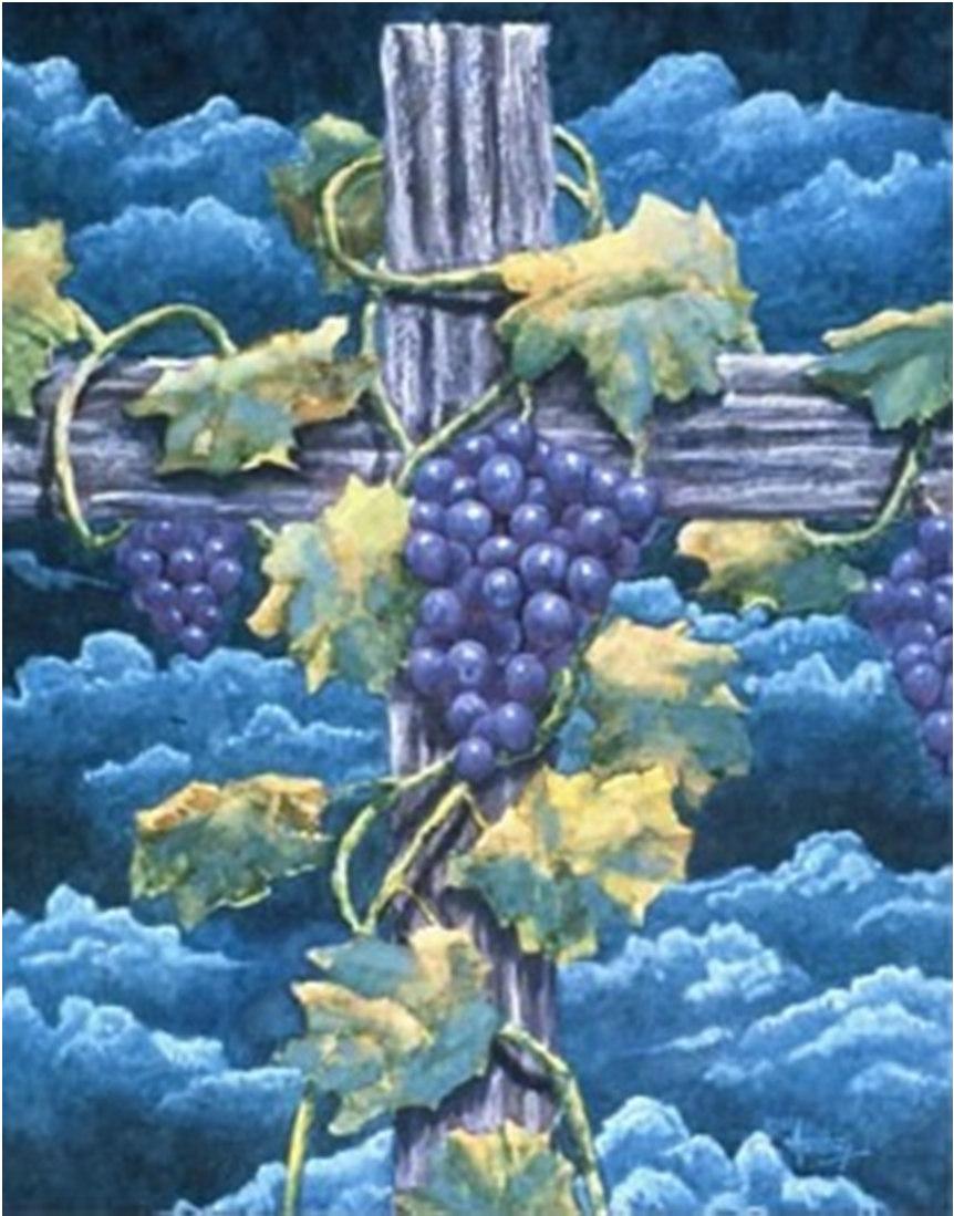 REFLECTION: When we get grapes, they usually come in a plastic bag from the supermarket. However, those grapes grew on the branches of a vine.