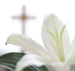 Sunday Social 10:30 - Easter Celebration Worship Feel free to bring an Easter lily or any spring flower in memory of or in honor of