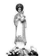 Our Lady of La Vang In 1798, Catholicism in Vietnam was greatly supressed and