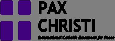 Find out what the Church teaches about peace and nonviolence. The Pax Christi booklets Peace, War and the Christian Conscience, and Nonviolence Works!