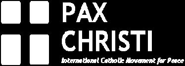 Pax Christi can provide you with lots of resources, both free and for sale. Talk with your local head teacher about education for peace and citizenship in school.