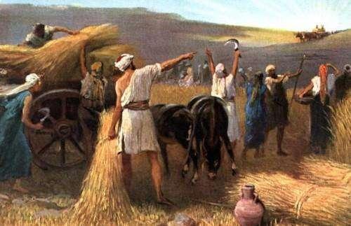 1 Samuel 6 The Ark Returned to Israel Now the people of Beth Shemesh were harvesting their